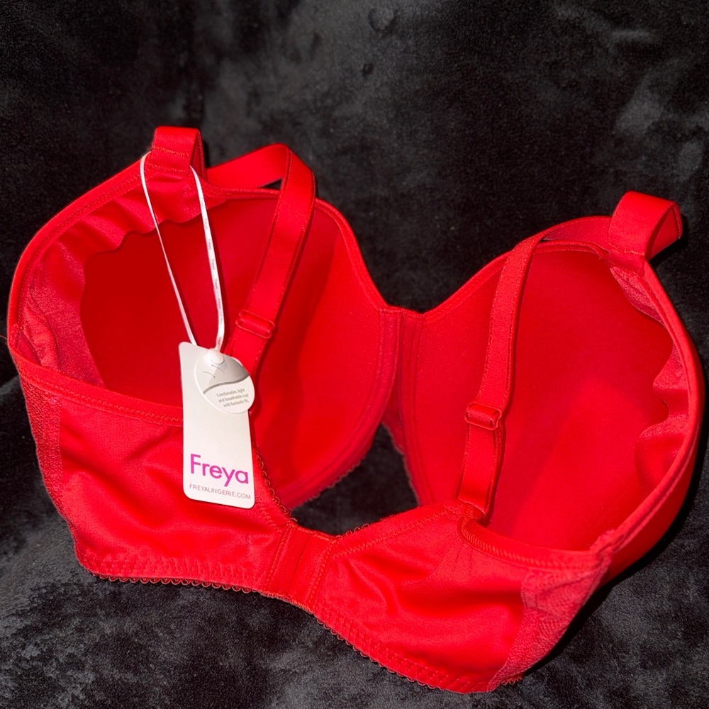 Freya Vibrant Red Lace Offbeat Demi T-shirt Bra, AA5450 - Picture 6 of 13